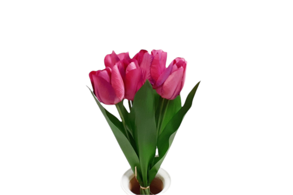 Tulipán csokor 7 szálas (selyem, művirág)