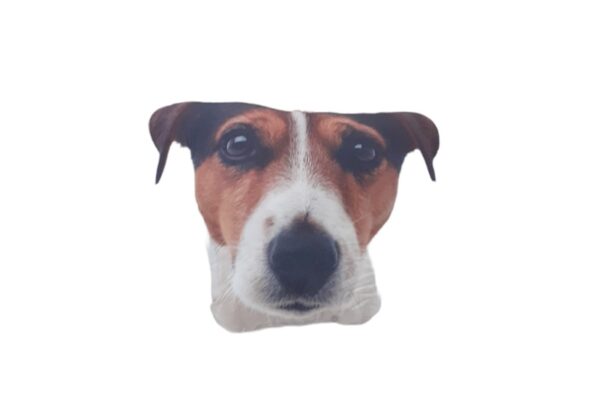 Forma párna - Jack Russel Terrier, 5x40 cm