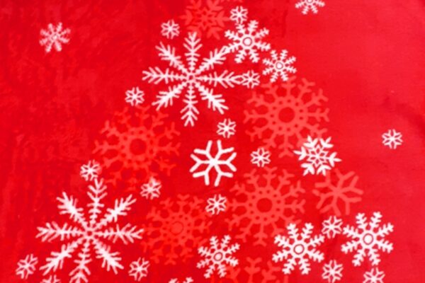 Corall fleece takaró - karácsonyi mintávalt